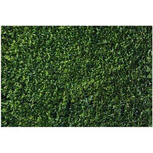 10x8ft Vinyl Nature 3D Spring Green Leaves Photo Background Newborn Baby Shower